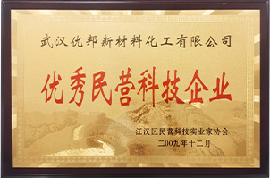 优秀民营科技企业