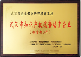 武汉市知识产权优势培育企业
